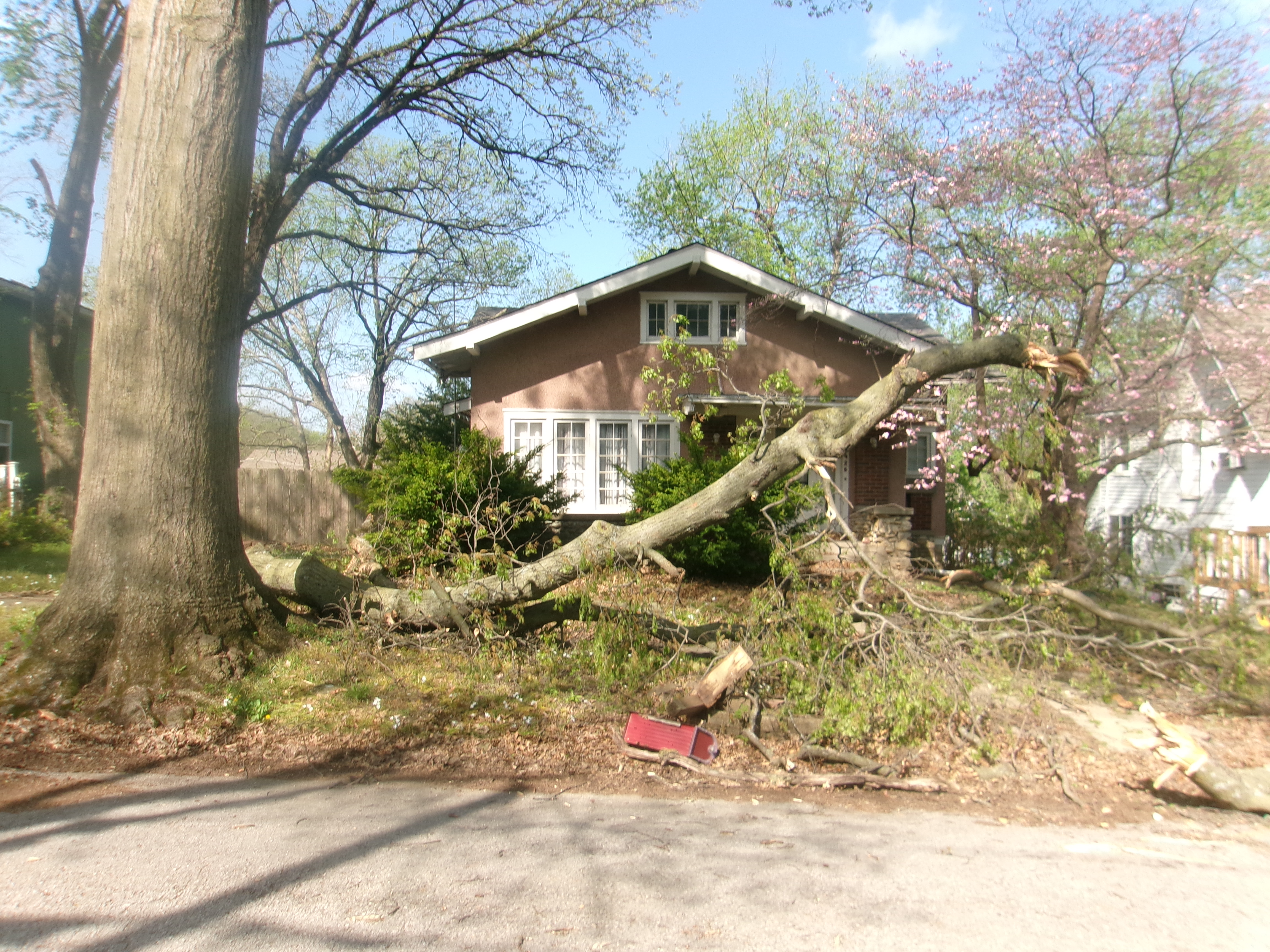 A 1000lb branch from an oak tree, on top of a smashed mailbox in a front yard of a house