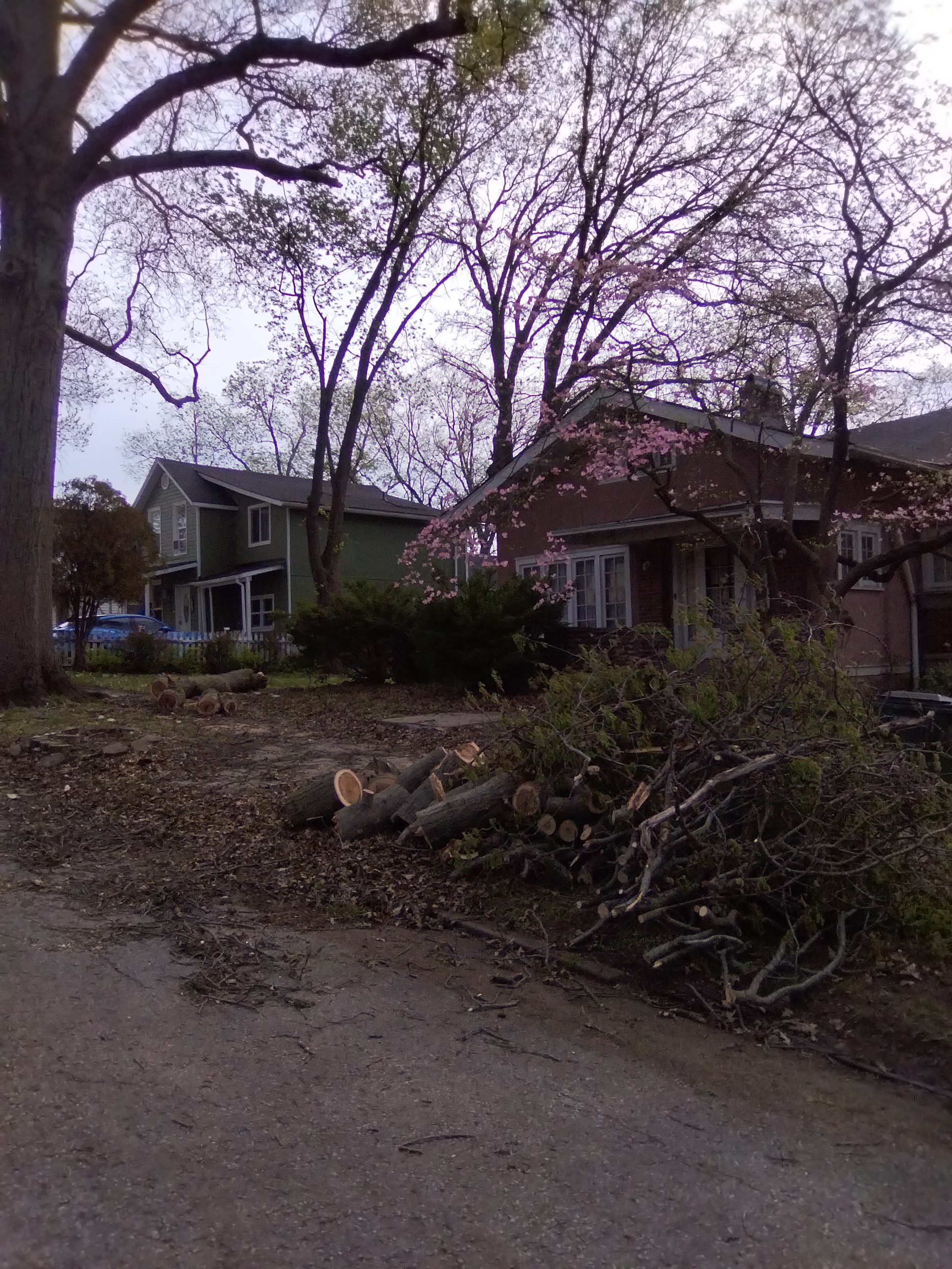 The branch all chopped up seperated into piles by the curb