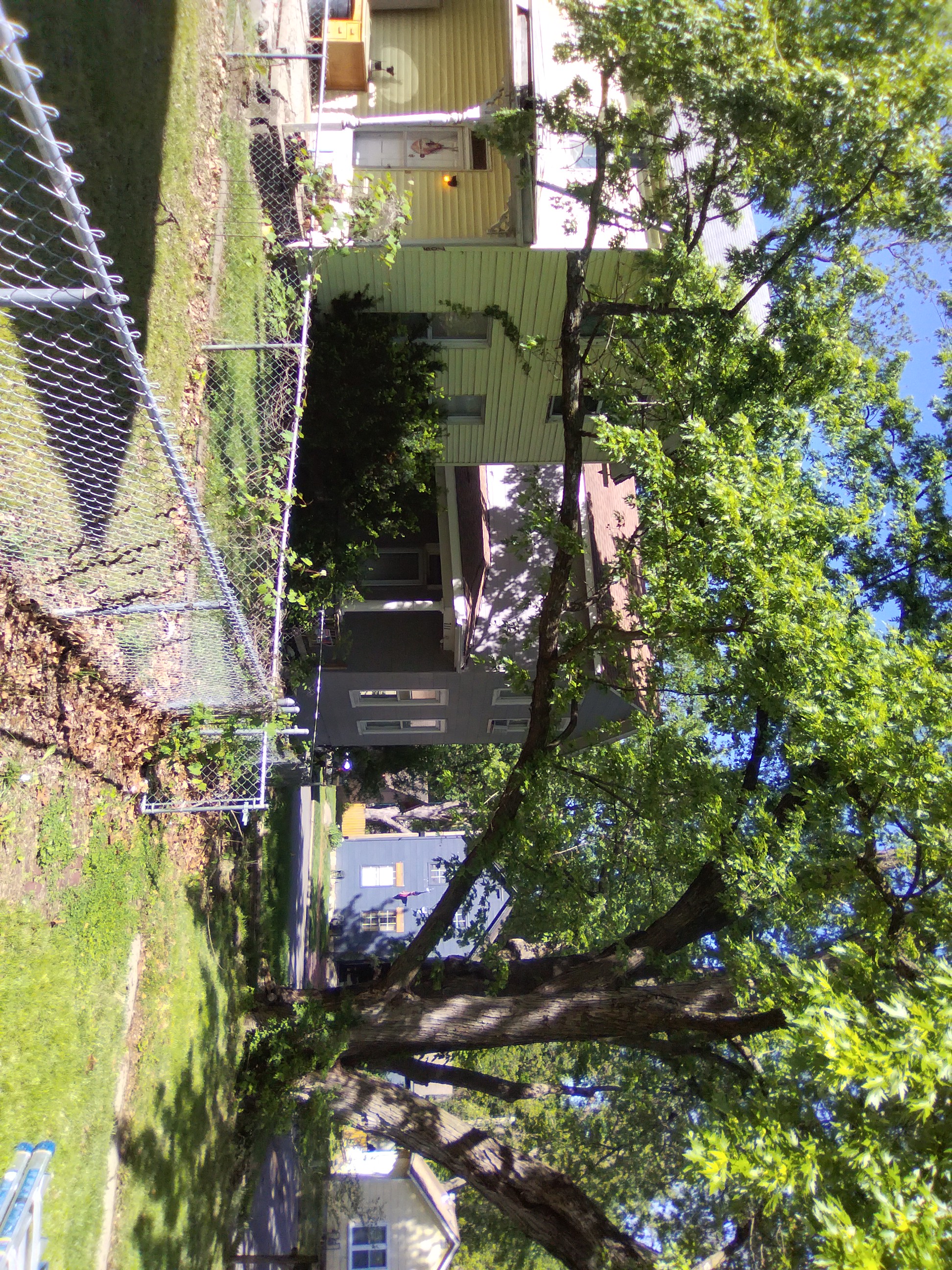 Tree trimming Leavenworth KS