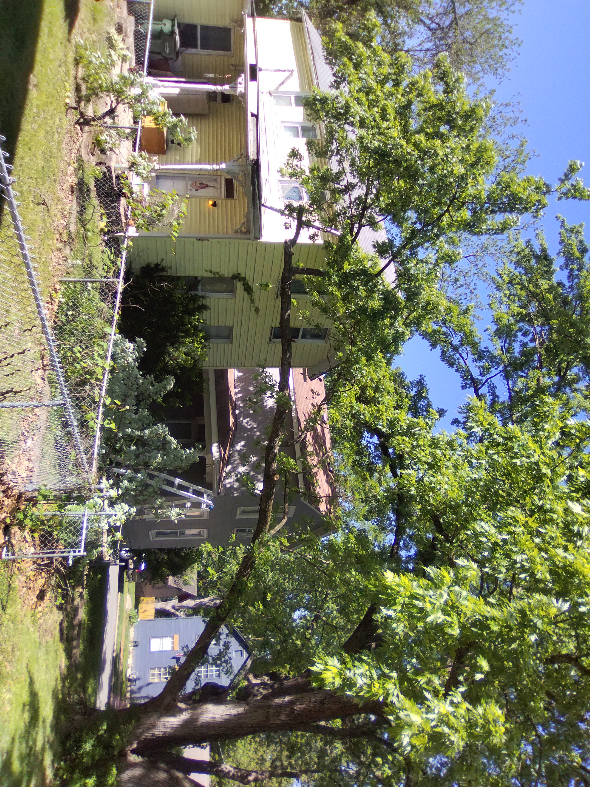 Branch reduction Groundworks