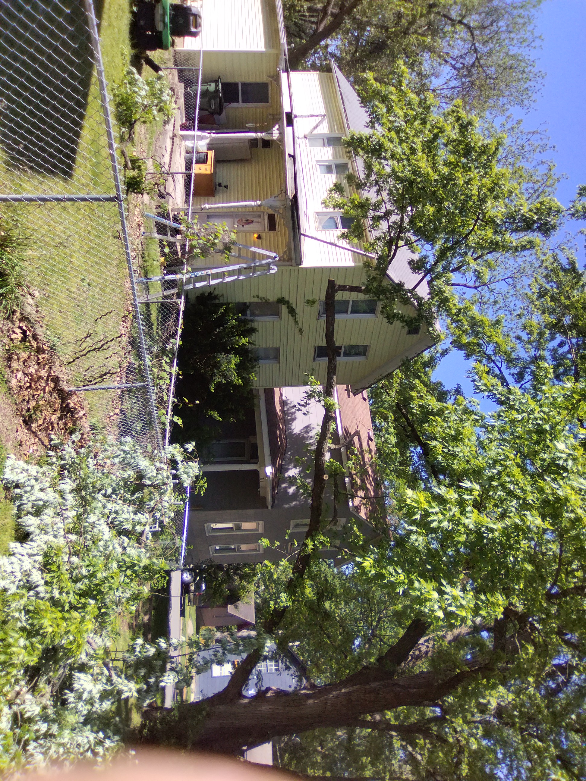 Tree work in progress Leavenworth