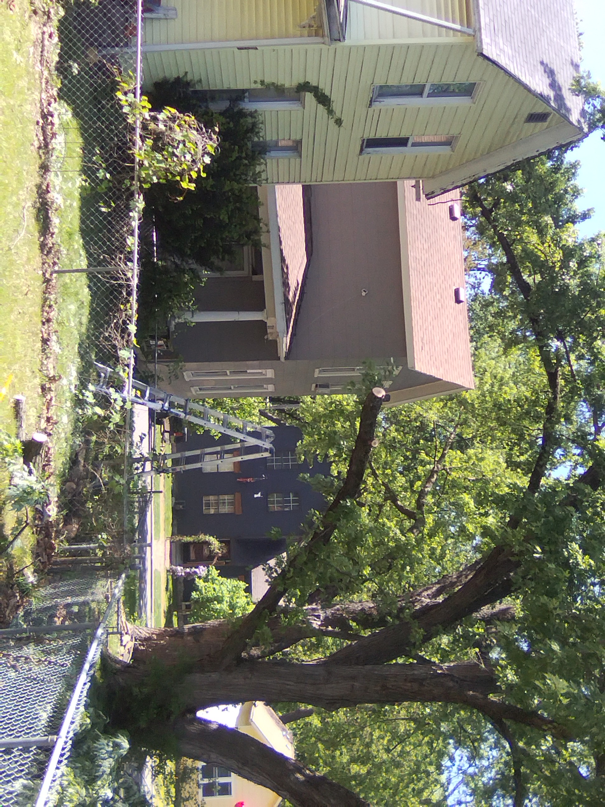 Low limb removal Leavenworth KS