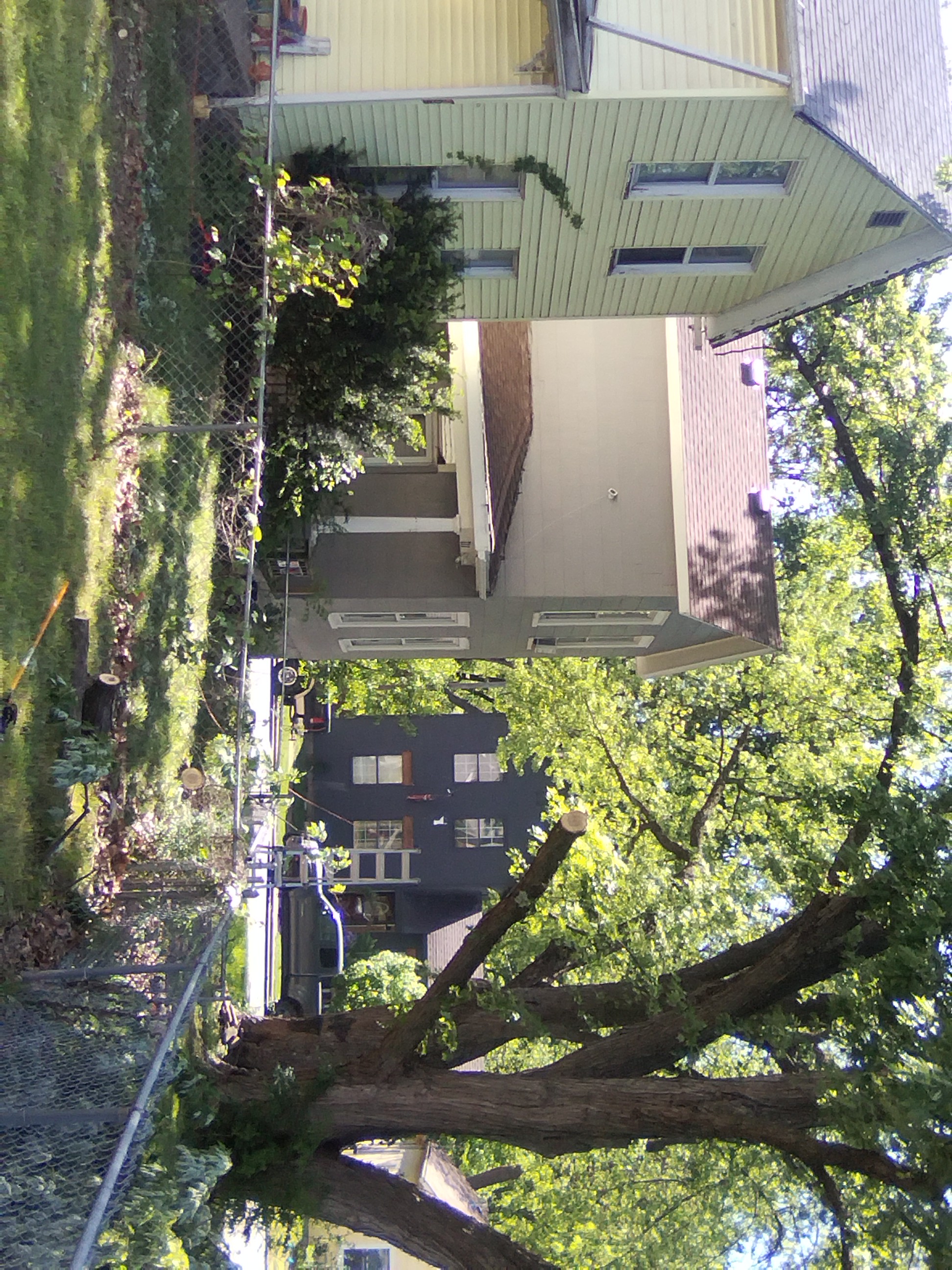 Branch removal over walkway
