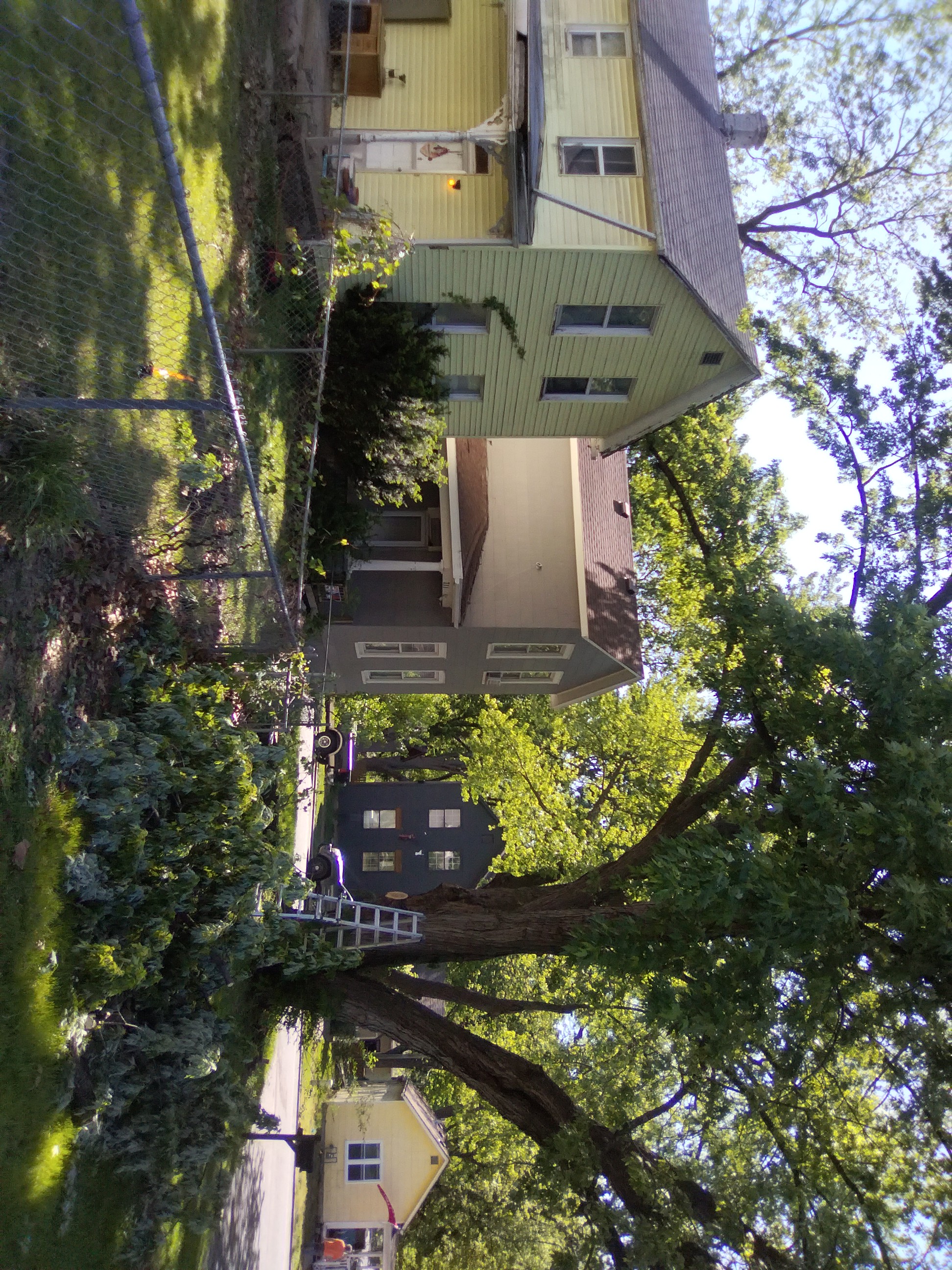 Tree limb removed Groundworks