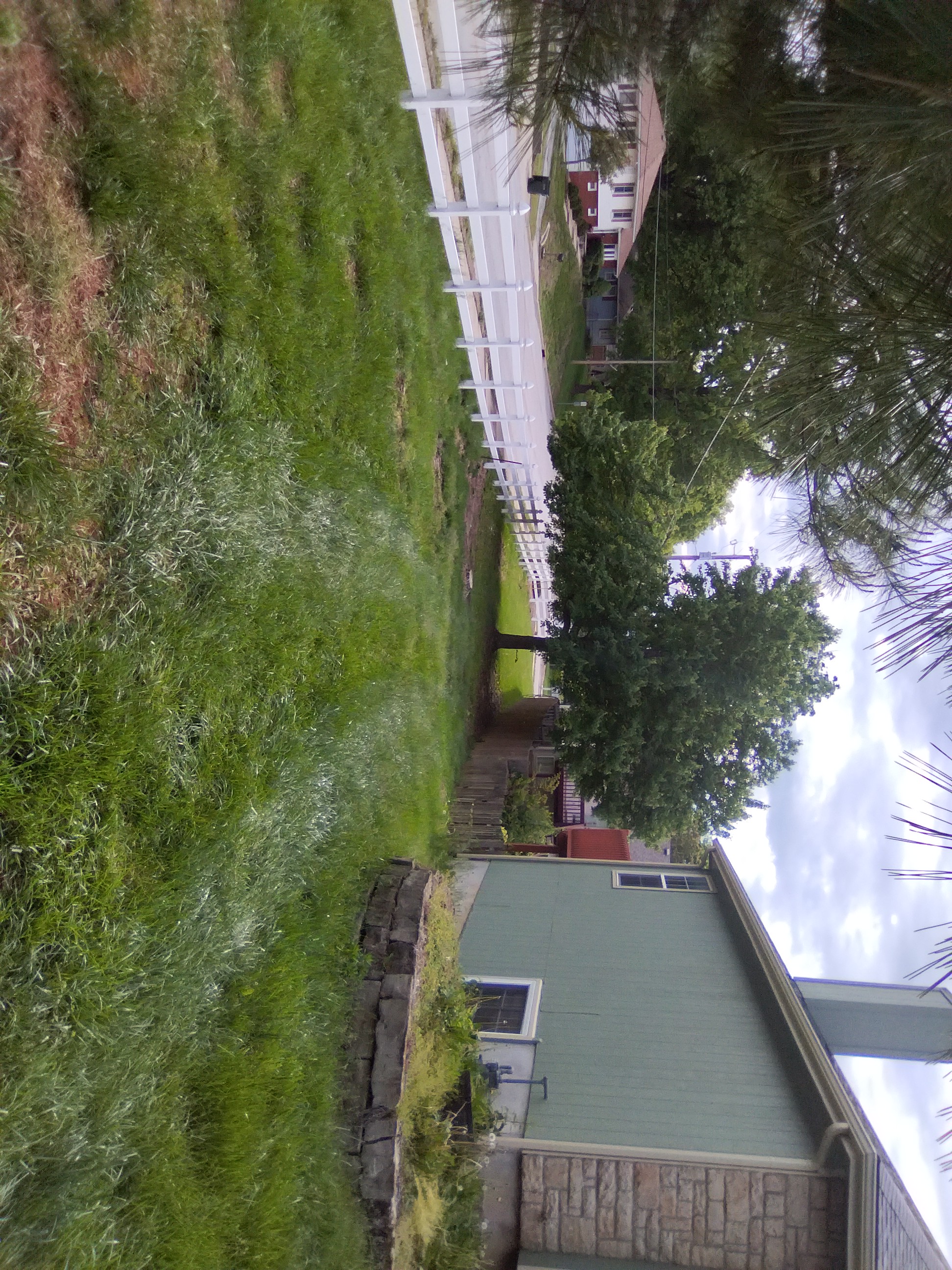 Tall grass before Groundworks lawn service