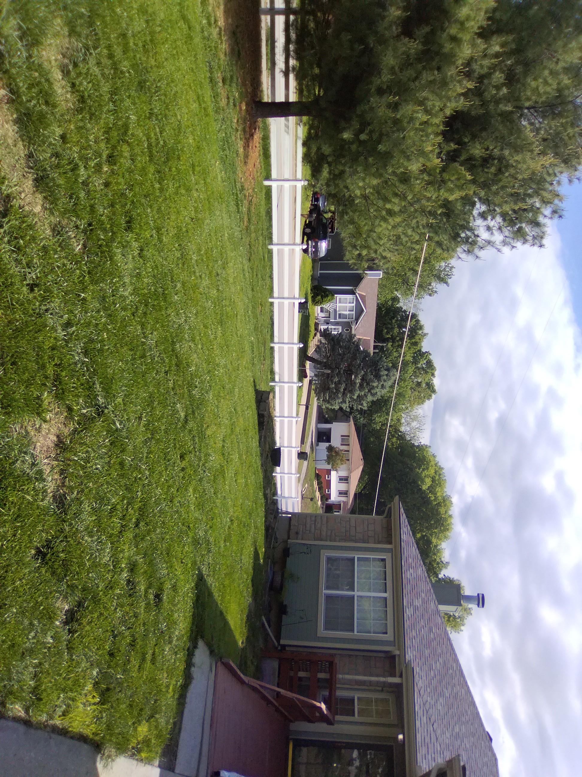 Clean finished lawn Leavenworth KS