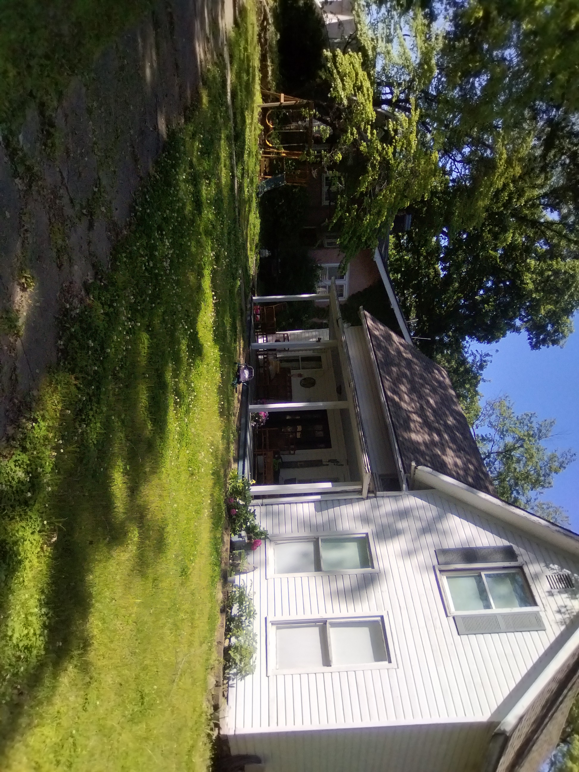 Tall grass residential property before mowing