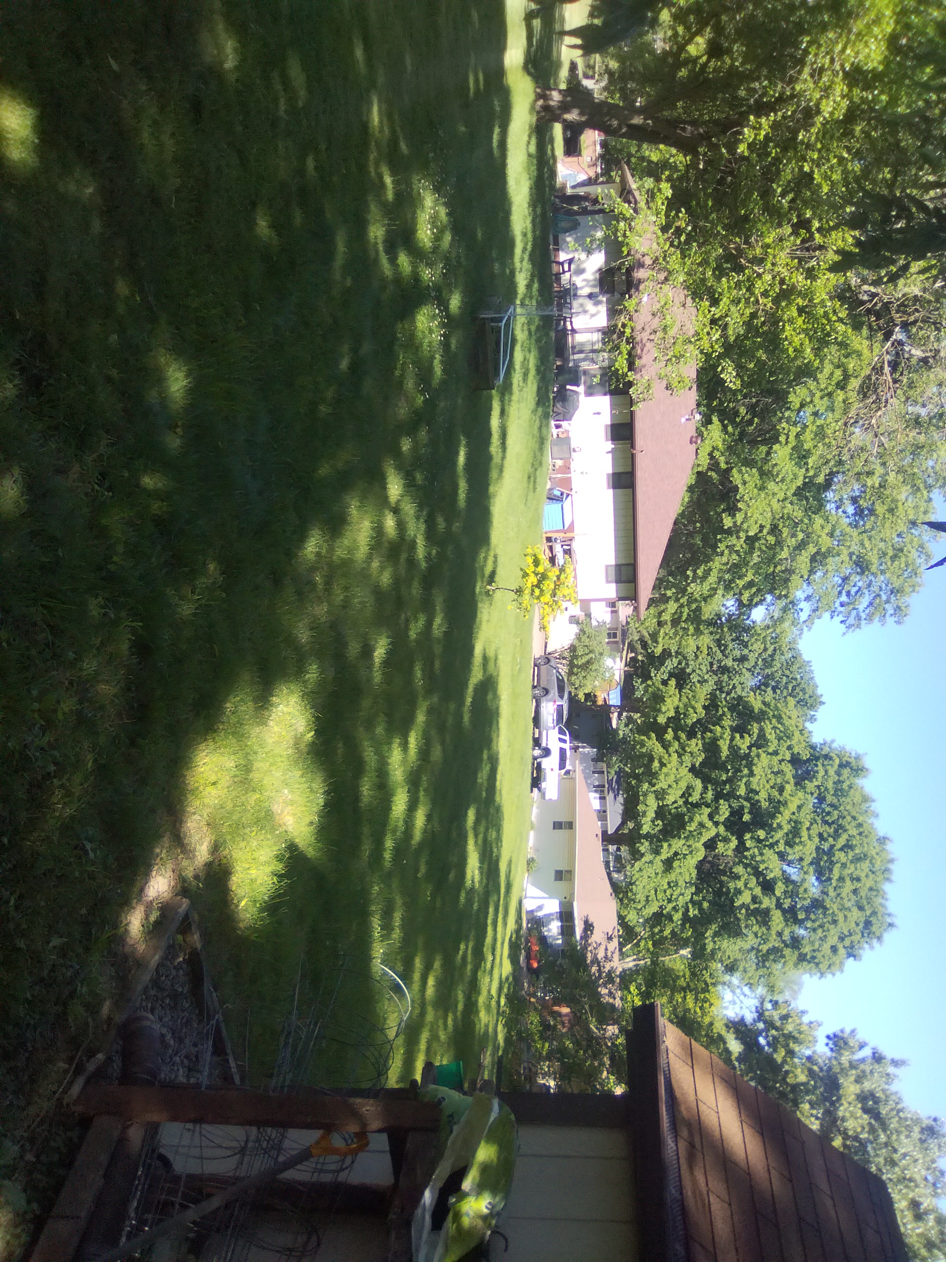 Clean residential lawn after mowing and edging