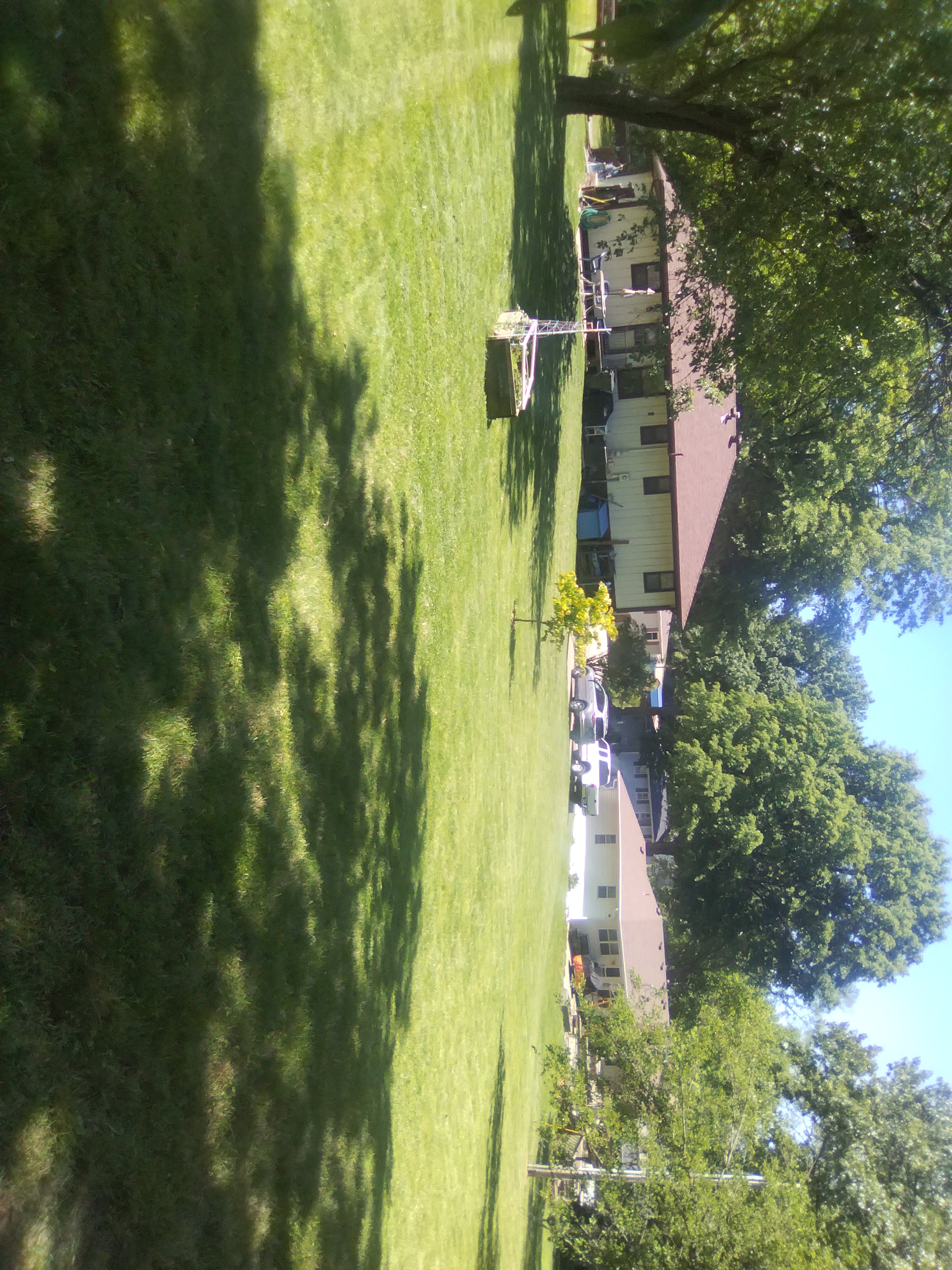 Open yard lawn service finished result